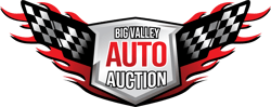 Big Valley Auto Auction logo-4