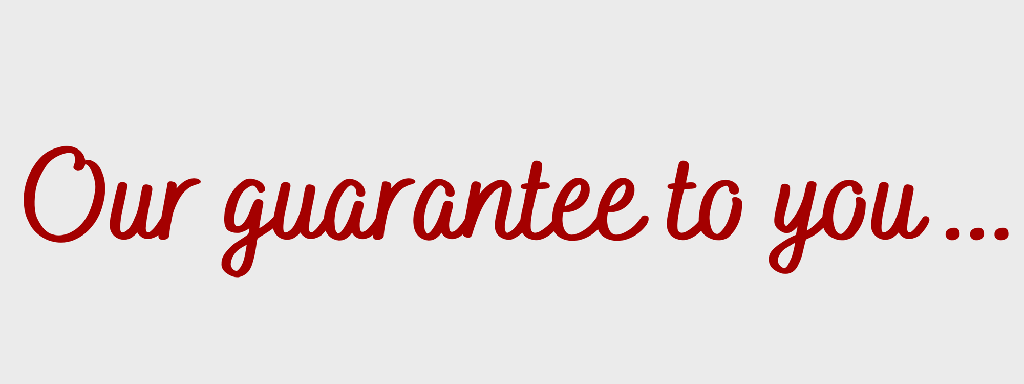 Our Guarantee